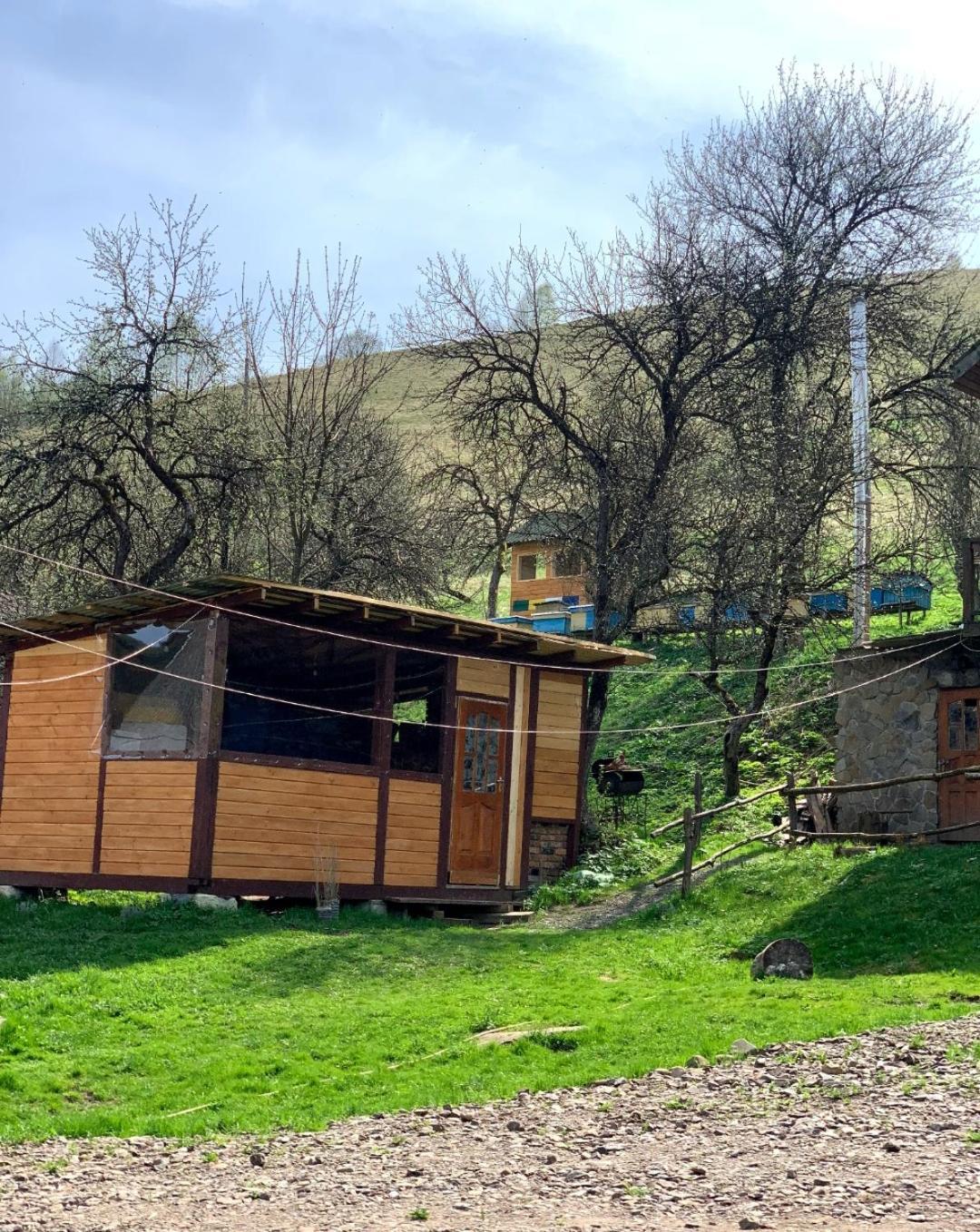 Smerekova Hata Oryavchyk Dış mekan fotoğraf